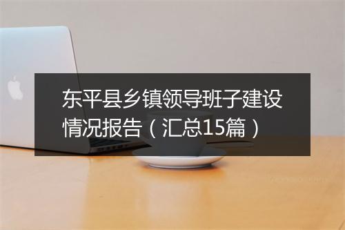 东平县乡镇领导班子建设情况报告（汇总15篇）