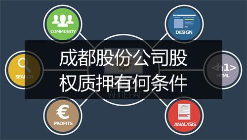 成都股份公司股权质押有何条件