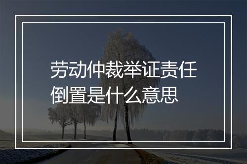 劳动仲裁举证责任倒置是什么意思
