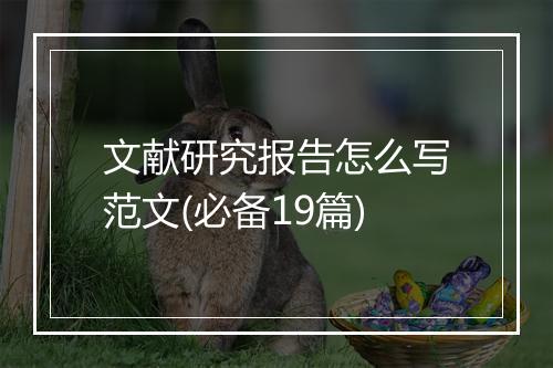 文献研究报告怎么写范文(必备19篇)