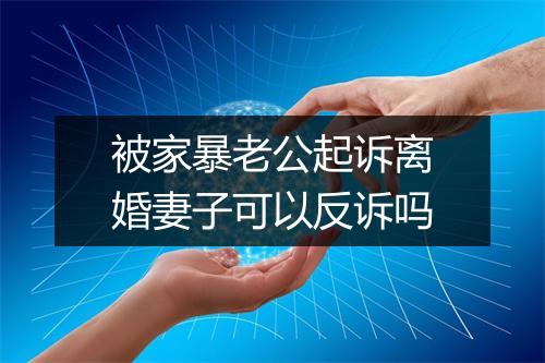 被家暴老公起诉离婚妻子可以反诉吗