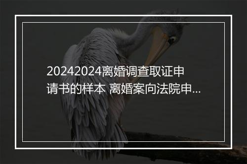 20242024离婚调查取证申请书的样本 离婚案向法院申请调查申请书