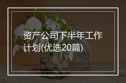 资产公司下半年工作计划(优选20篇)