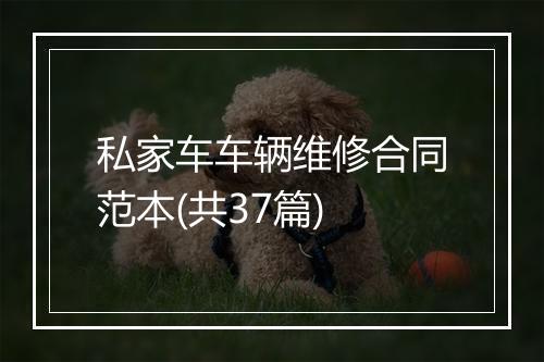 私家车车辆维修合同范本(共37篇)