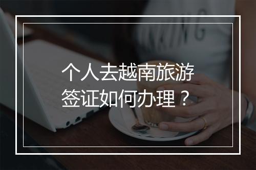 个人去越南旅游签证如何办理？