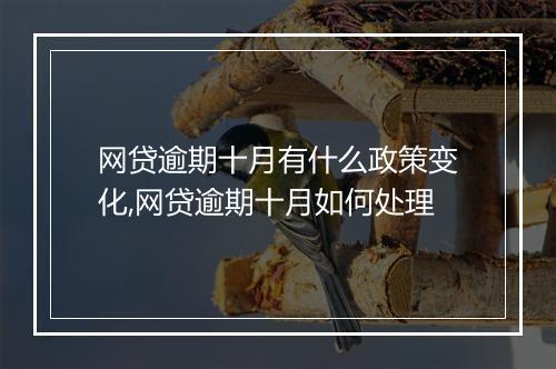 网贷逾期十月有什么政策变化,网贷逾期十月如何处理