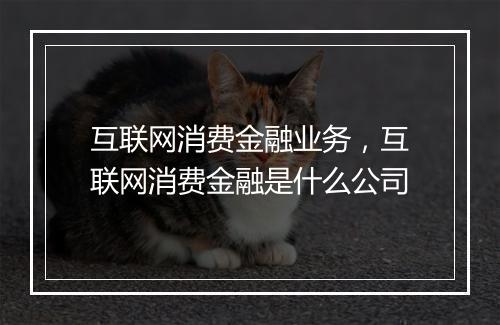互联网消费金融业务，互联网消费金融是什么公司