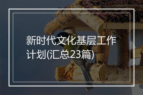 新时代文化基层工作计划(汇总23篇)