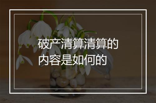 破产清算清算的内容是如何的