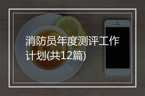 消防员年度测评工作计划(共12篇)