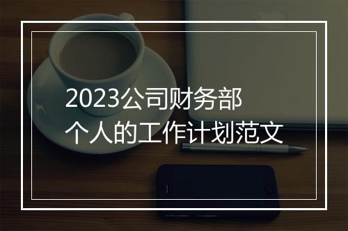 2023公司财务部个人的工作计划范文