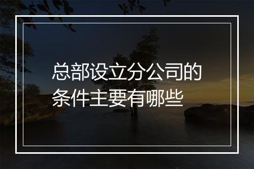 总部设立分公司的条件主要有哪些