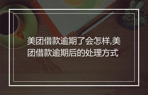 美团借款逾期了会怎样,美团借款逾期后的处理方式