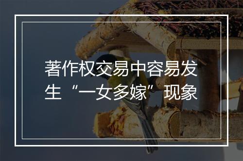 著作权交易中容易发生“一女多嫁”现象
