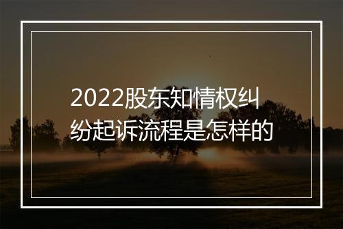 2022股东知情权纠纷起诉流程是怎样的