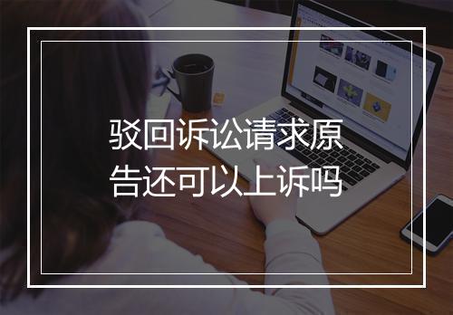 驳回诉讼请求原告还可以上诉吗