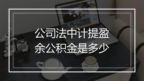 公司法中计提盈余公积金是多少
