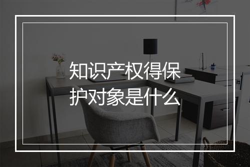 知识产权得保护对象是什么