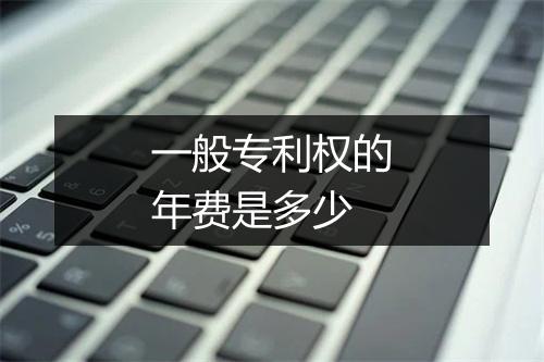 一般专利权的年费是多少