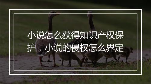 小说怎么获得知识产权保护，小说的侵权怎么界定