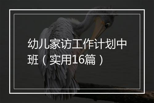 幼儿家访工作计划中班（实用16篇）