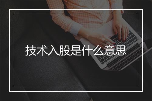 技术入股是什么意思