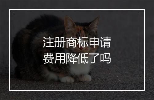 注册商标申请费用降低了吗