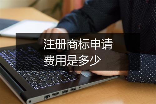 注册商标申请费用是多少