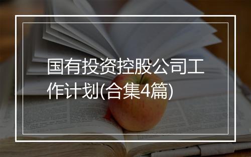 国有投资控股公司工作计划(合集4篇)