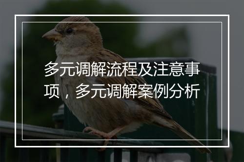多元调解流程及注意事项，多元调解案例分析