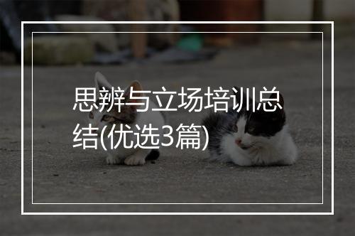 思辨与立场培训总结(优选3篇)