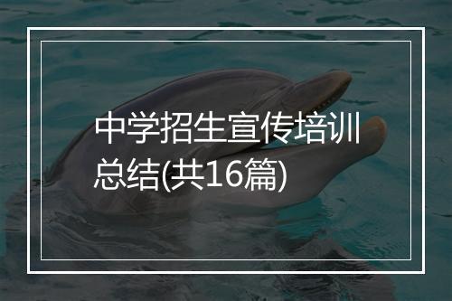 中学招生宣传培训总结(共16篇)