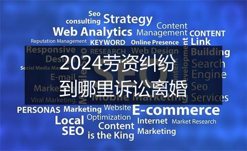 2024劳资纠纷到哪里诉讼离婚