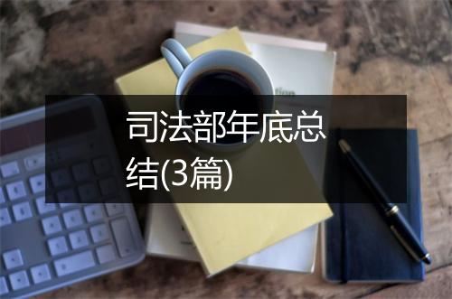 司法部年底总结(3篇)
