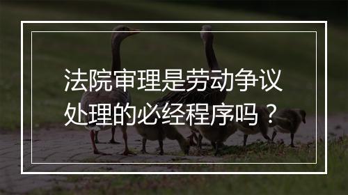 法院审理是劳动争议处理的必经程序吗？