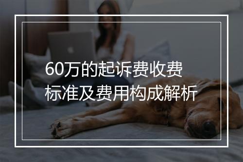 60万的起诉费收费标准及费用构成解析