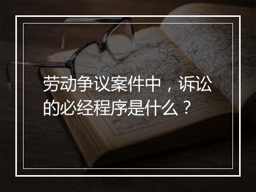 劳动争议案件中，诉讼的必经程序是什么？