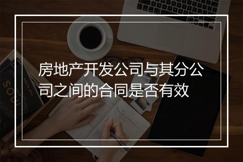 房地产开发公司与其分公司之间的合同是否有效