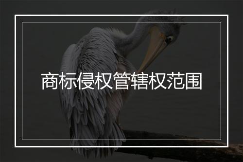 商标侵权管辖权范围