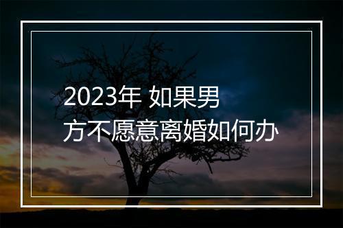 2023年 如果男方不愿意离婚如何办