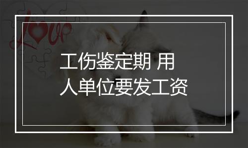 工伤鉴定期 用人单位要发工资