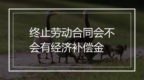 终止劳动合同会不会有经济补偿金