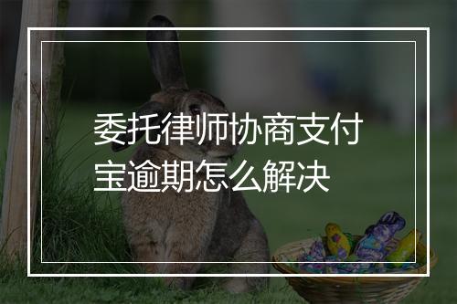委托律师协商支付宝逾期怎么解决