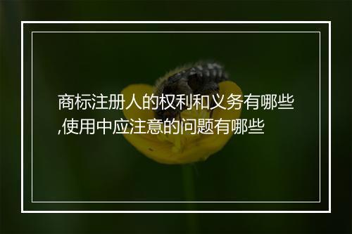 商标注册人的权利和义务有哪些,使用中应注意的问题有哪些