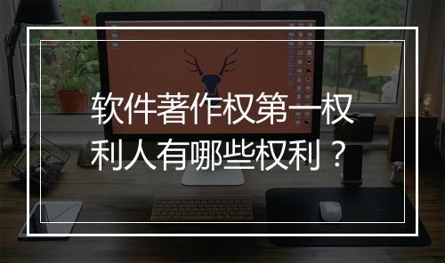 软件著作权第一权利人有哪些权利？