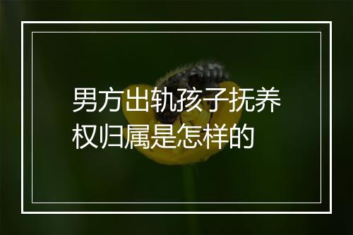 男方出轨孩子抚养权归属是怎样的