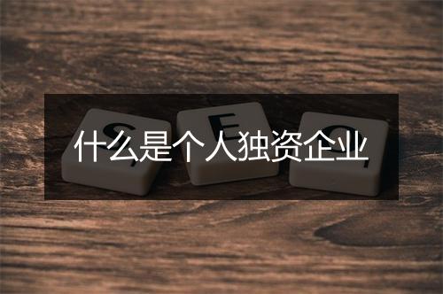 什么是个人独资企业