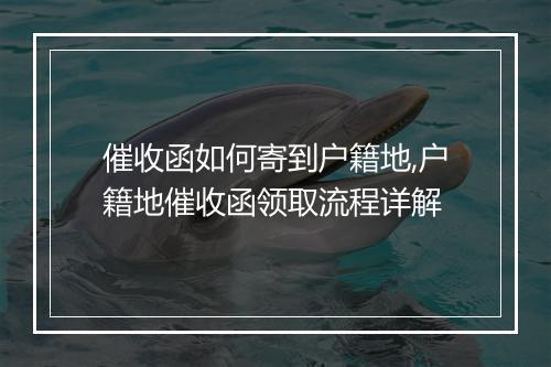 催收函如何寄到户籍地,户籍地催收函领取流程详解