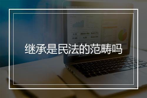 继承是民法的范畴吗
