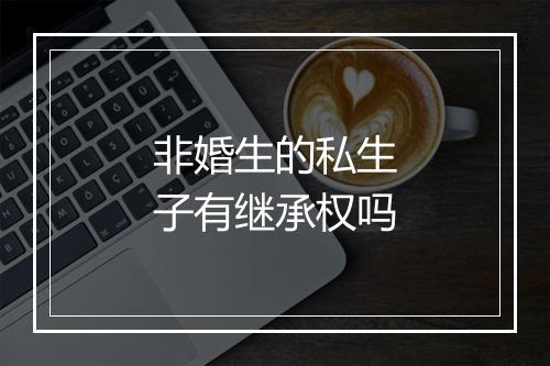 非婚生的私生子有继承权吗